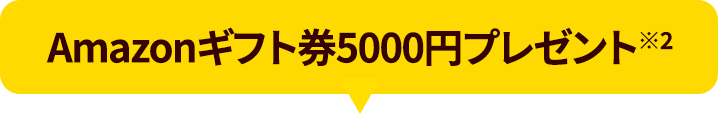Amazonギフト券5000円プレゼント